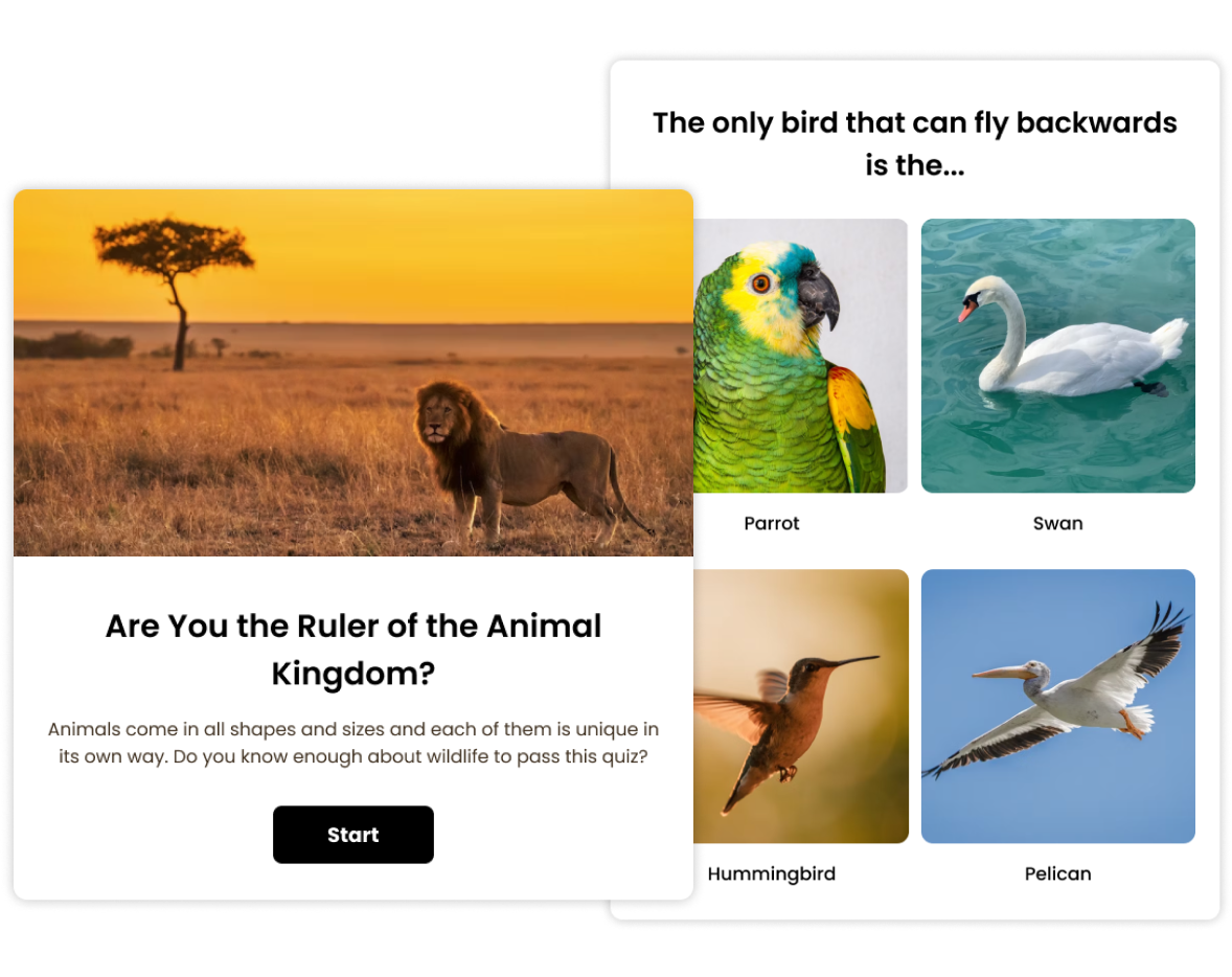 engaging ai quiz maker example